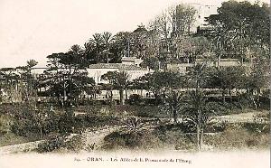 PL a- 131- Promenade de Letang A